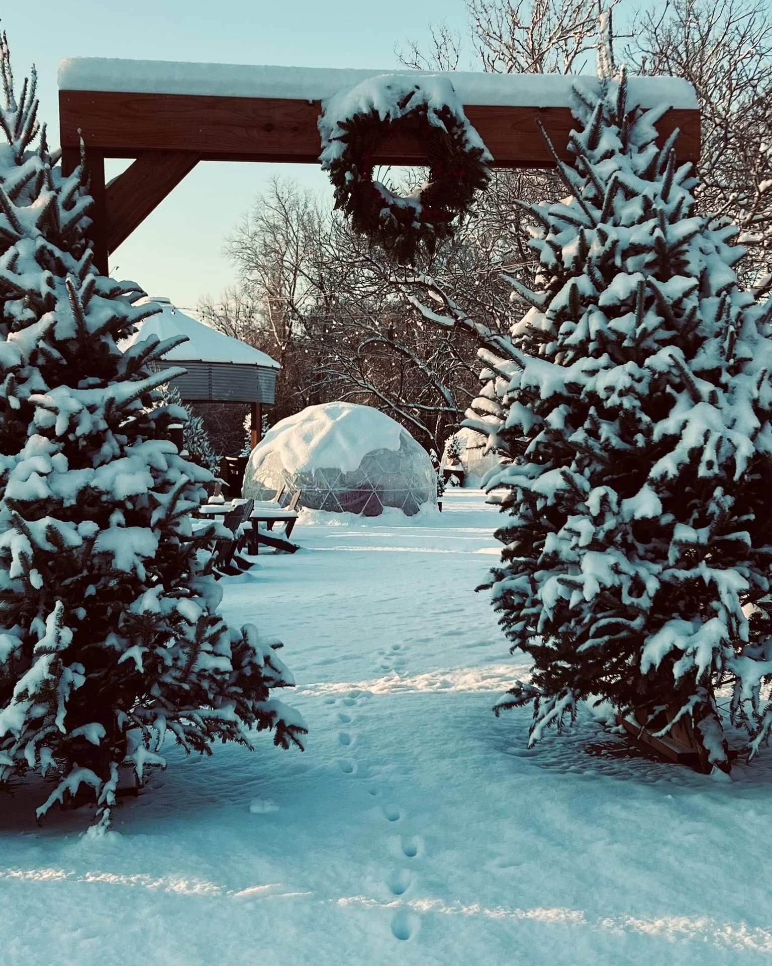 Year-Round Celebrations at Magnolia View